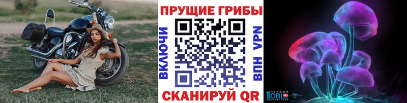 Псилоцибиновые грибы ЛСД  Купить закладки  Вихоревка 